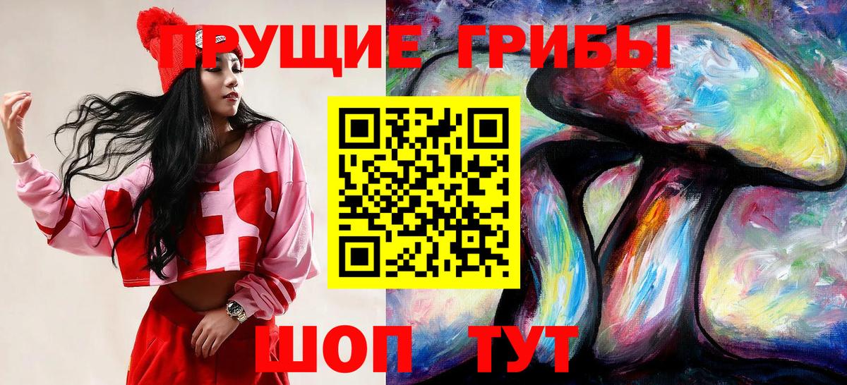 Партизанск  Псилоцибиновые грибы Psilocybe  Вход с VPN 